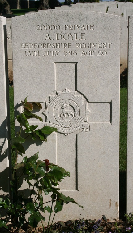 grave for a doyle