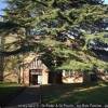 Kingsbury, SS Peter & Paul C of E Parish Records